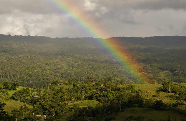 T06.29 Implementing sustainable and eco-friendly alternatives in Putumayo