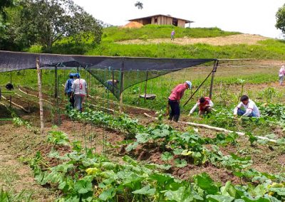 T06.14 Amazonía joven Guaviare