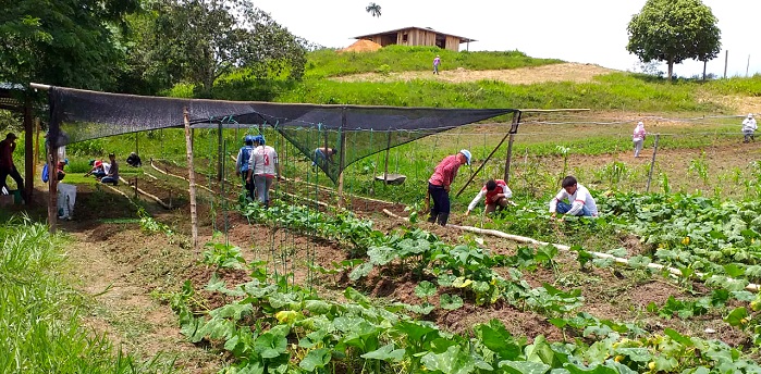 T06.14 Amazonía joven Guaviare