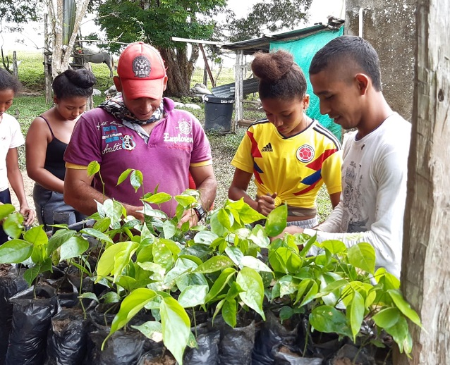 T06.17 Amazonía joven Caquetá