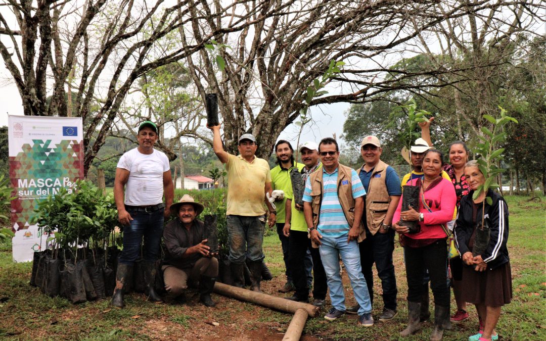 Fincas agrícolas sostenibles: el futuro de los campesinos del sur del Meta