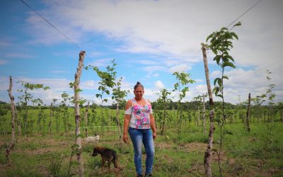 Recorrido por una finca productiva del Meta