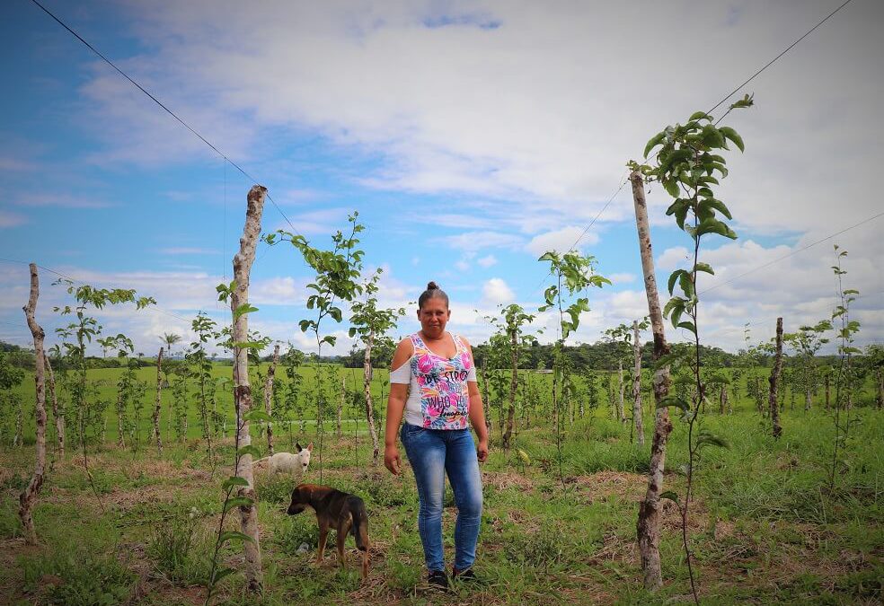 Recorrido por una finca productiva del Meta