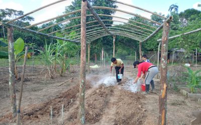 Amazonía Joven Guaviare: Cooperación para progresar juntos