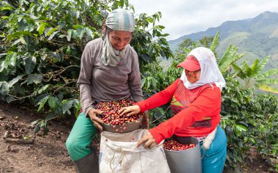 Llega ‘Mi Nariño es Café’ la campaña que despertará tus sentidos