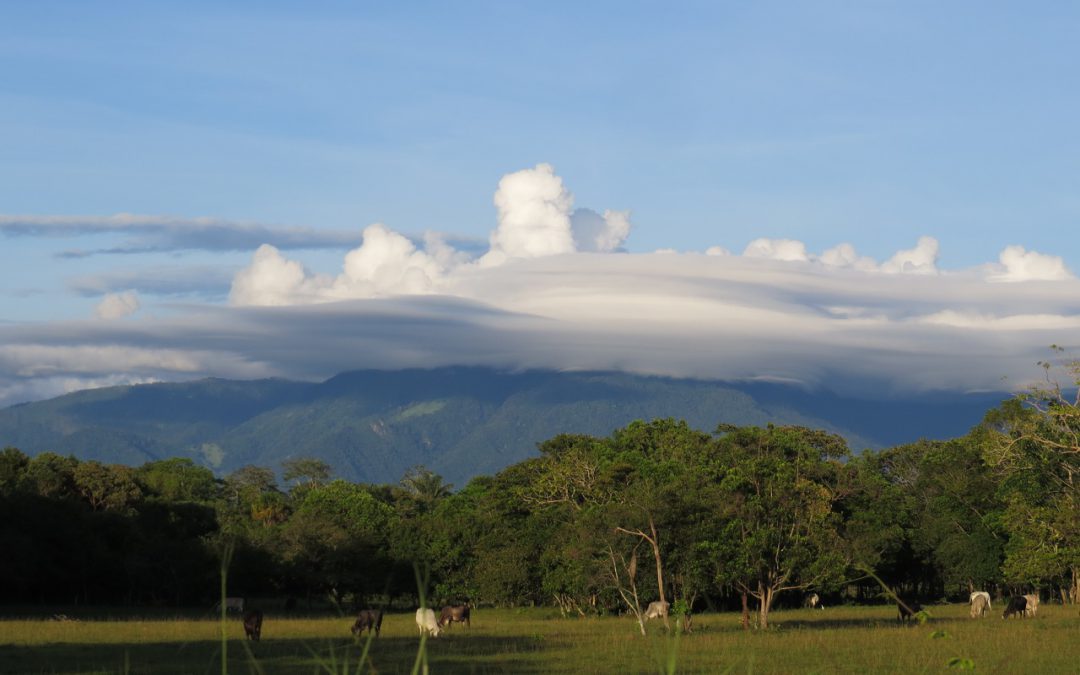 T06.73 Apoyo presupuestario Tierras