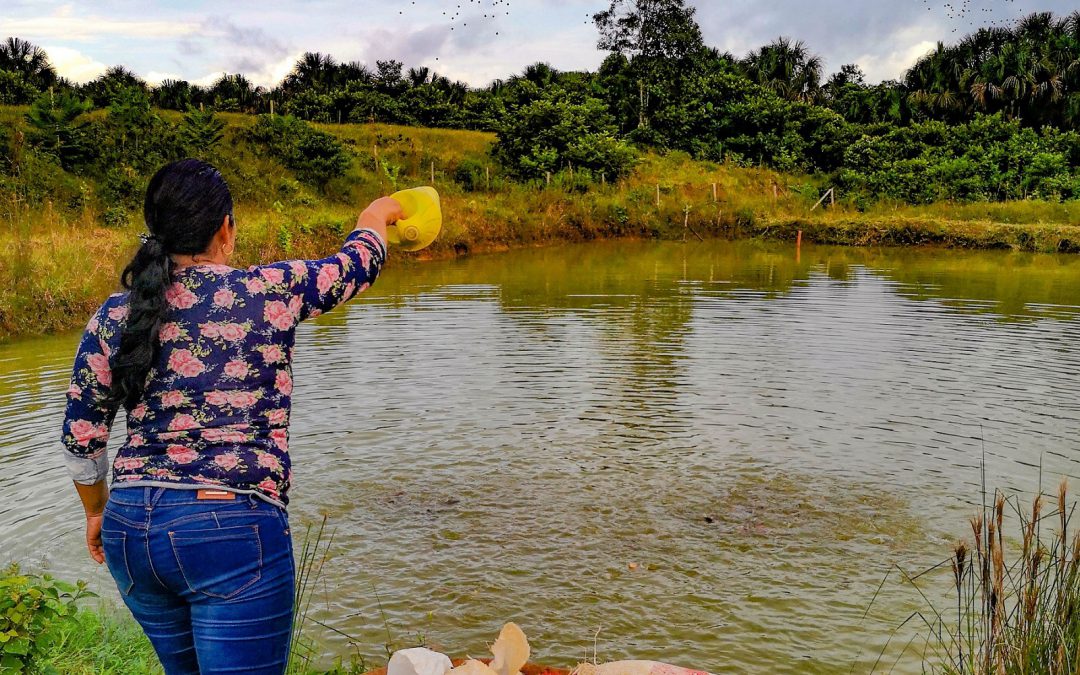 PUEDES – Plantando esperanza en las comunidades de Putumayo