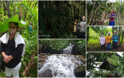 Una Paz con compromiso medioambiental