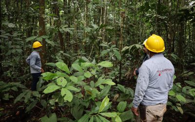 Conservación de bosques para caminar hacia una Amazonía sostenible en Guaviare