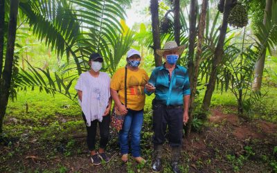 25 campesinos firman acuerdos de conservación para conservar 1.000 hectáreas de bosque en el sur del Meta