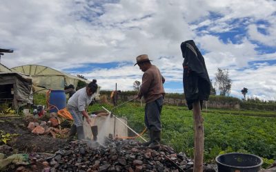 PDT Nariño culmina primera fase de sistema de gestión comunitaria de agua