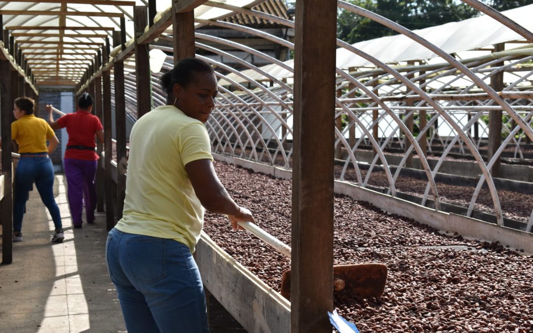 El cacao: un producto que aporta al desarrollo rural y al empoderamiento de las mujeres