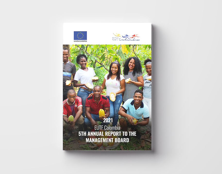 annual report cover