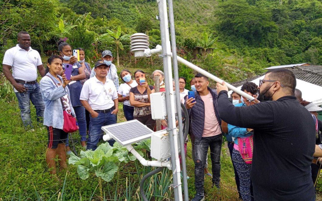 Innovación en la producción cacaotera y láctea a través del programa Rutas PDET