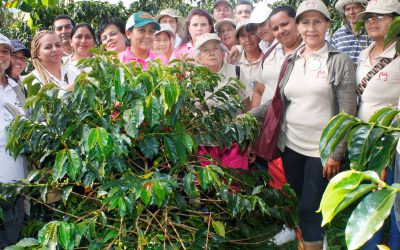 “Soy café, soy mujer”, un intercambio de experiencias entre mujeres para liderar la caficultura desde el suelo hasta la tasa