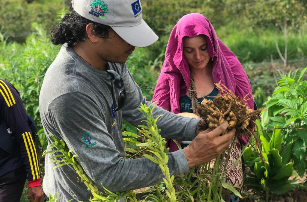 Reconciliación en un territorio intercultural