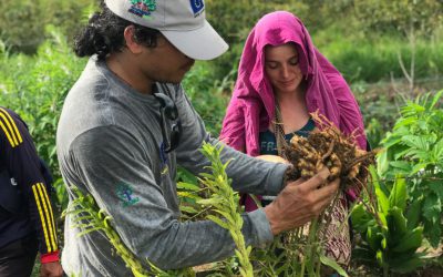 Reconciliación en un territorio intercultural