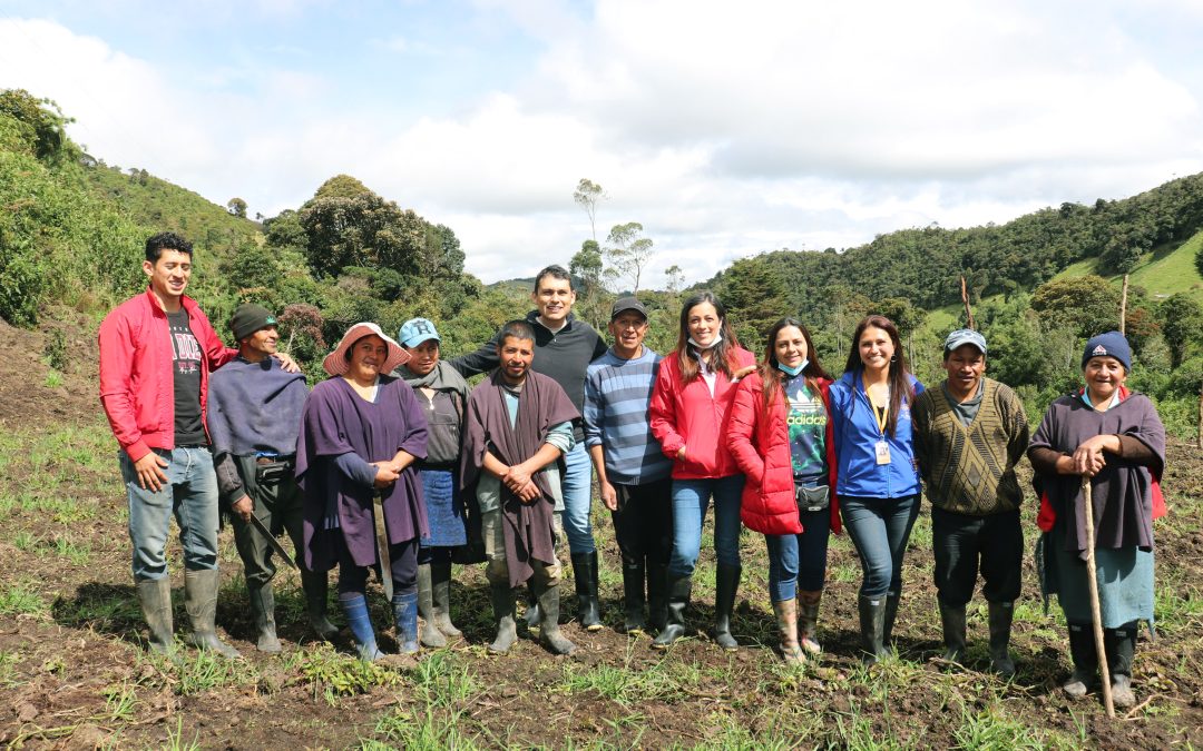 Fortalecimiento del sistema de gestión de proyectos de la Alcaldía de Pasto