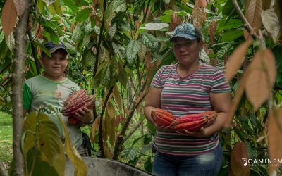 La Unión Europea prepara con sector privado, comunidades y Gobierno la futura alianza territorial por un “Guaviare sostenible con paz y naturaleza”
